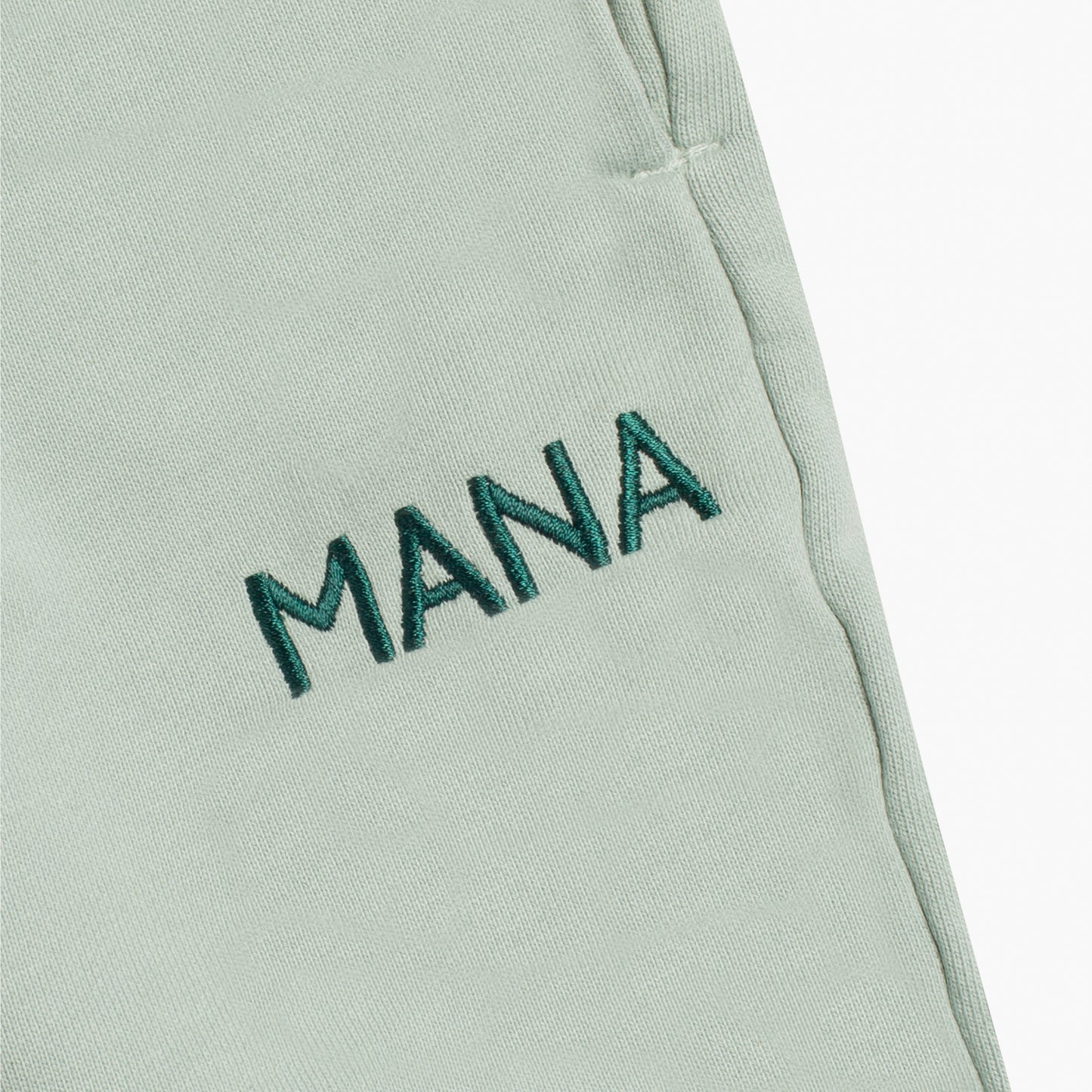 Premium Edition Shorts